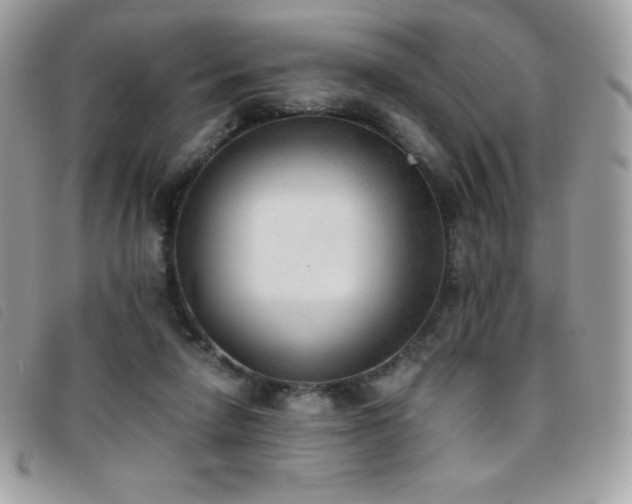 X0000095890258200801111202