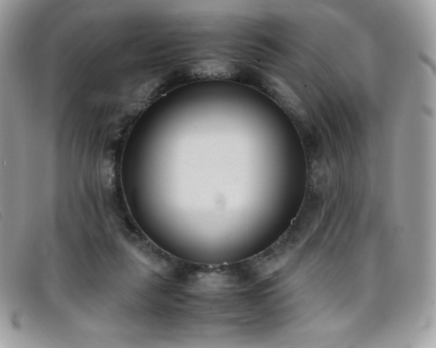 X0000095890259200801111202