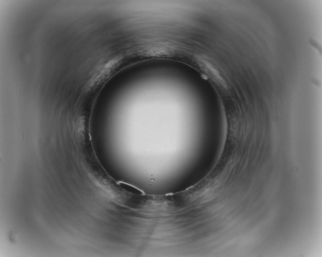 X0000095890260200801111202