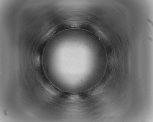 X0000095890262200801111202