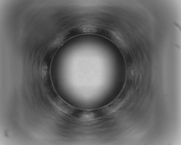 X0000095890263200801111202
