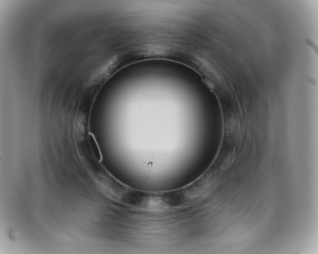 X0000095890264200801111202