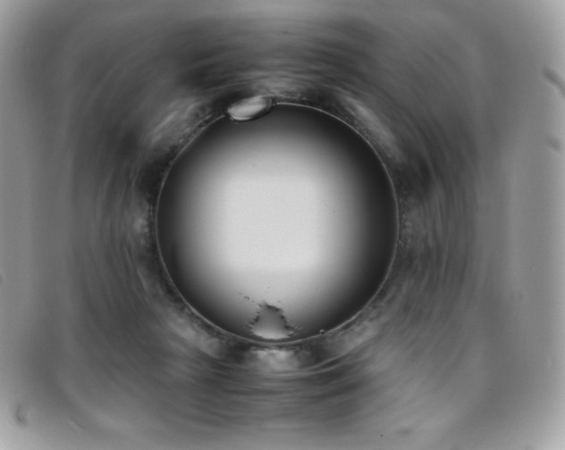 X0000095890265200801111202