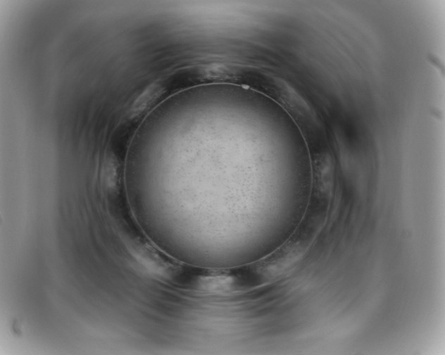 X0000095890266200801111202