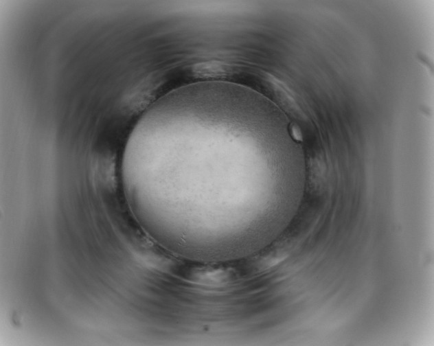 X0000095890267200801111202