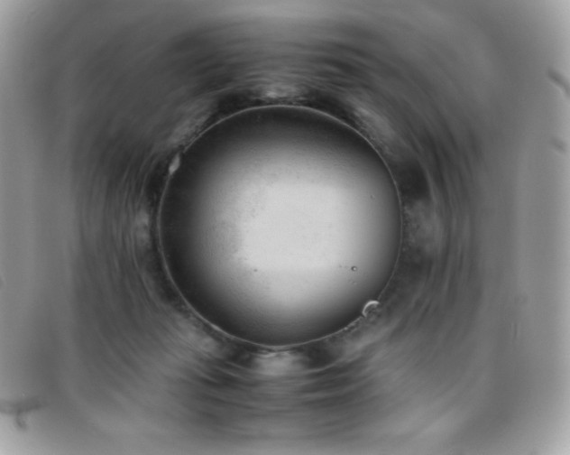 X0000095890269200801111202