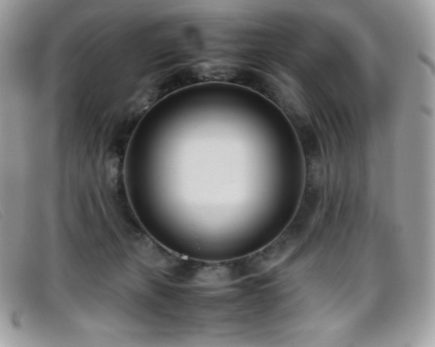 X0000095890271200801111202