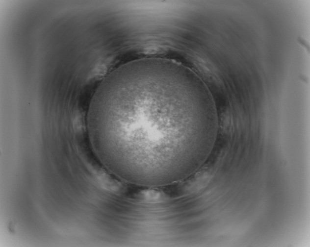 X0000095890272200801111202