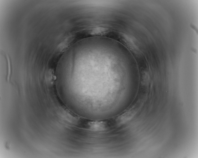 X0000095890273200801111202