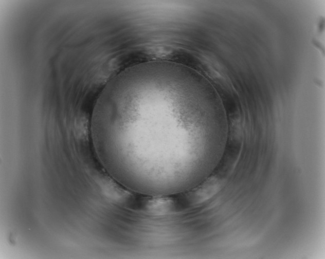 X0000095890274200801111202