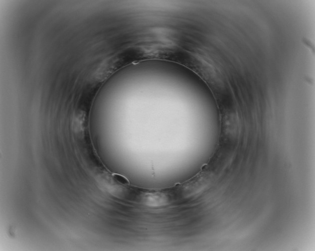 X0000095890275200801111202