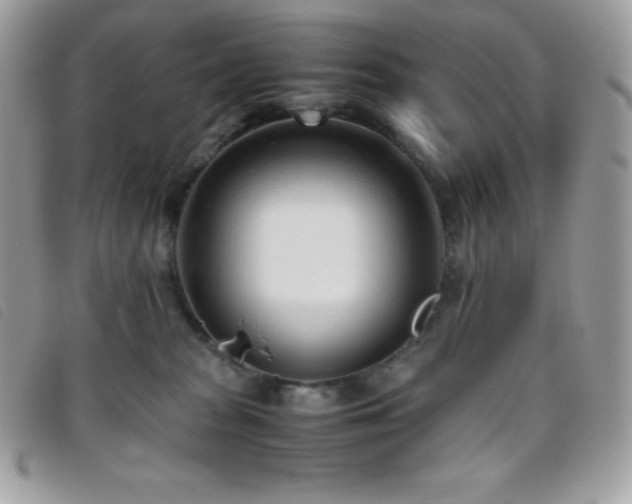 X0000095890277200801111202