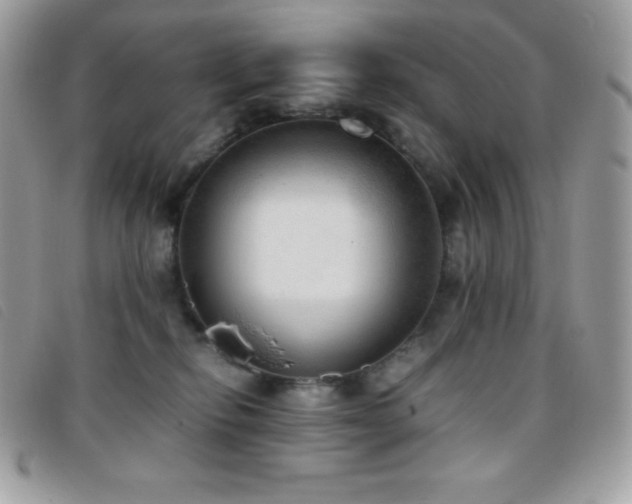 X0000095890278200801111202