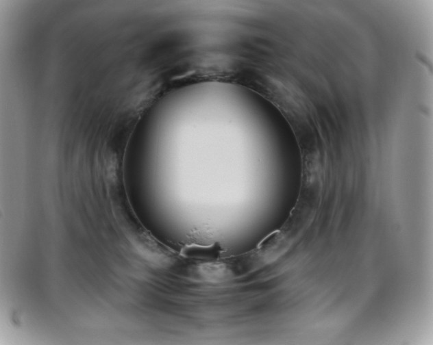 X0000095890279200801111202