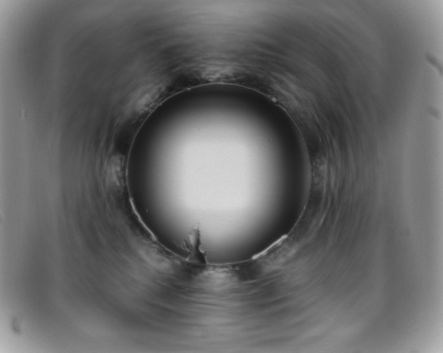 X0000095890280200801111202