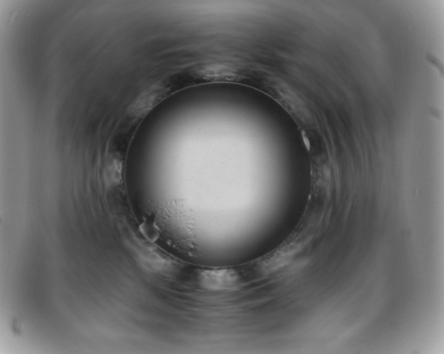 X0000095890281200801111202