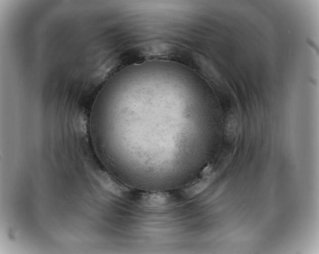 X0000095890282200801111202