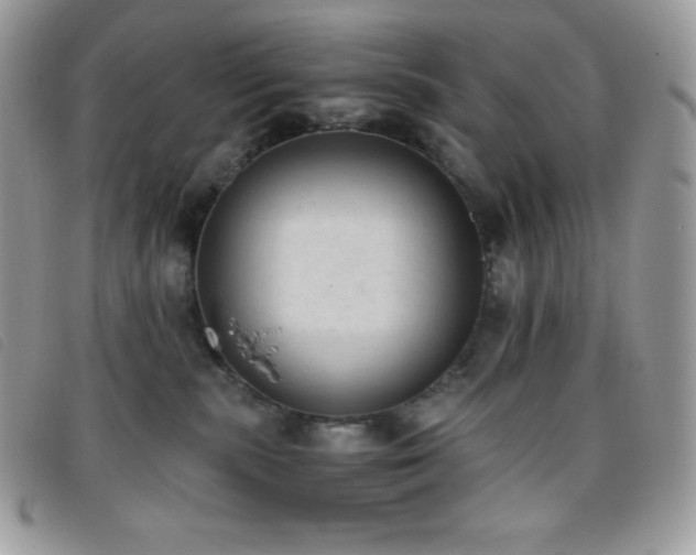 X0000095890283200801111202