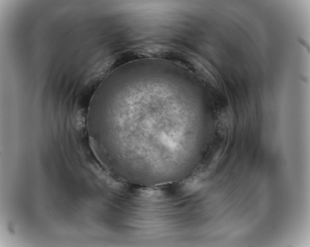 X0000095890284200801111202