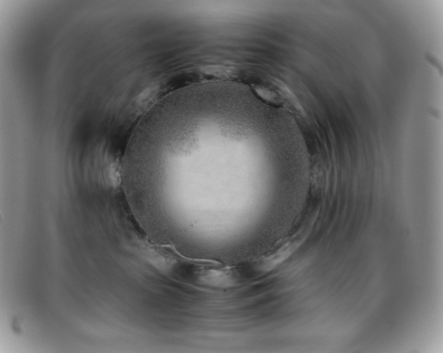 X0000095890285200801111202