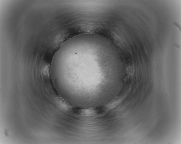 X0000095890286200801111202