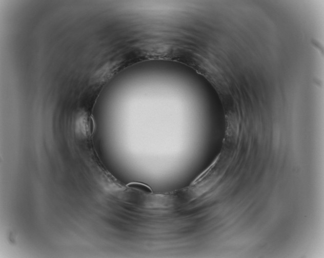 X0000095890287200801111202