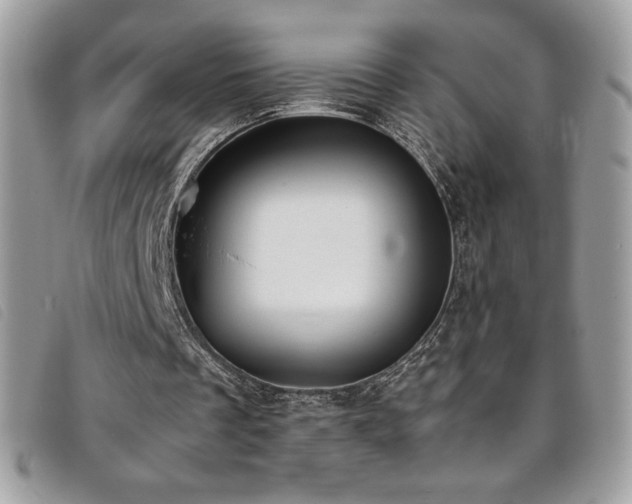 X0000095890289200801111201