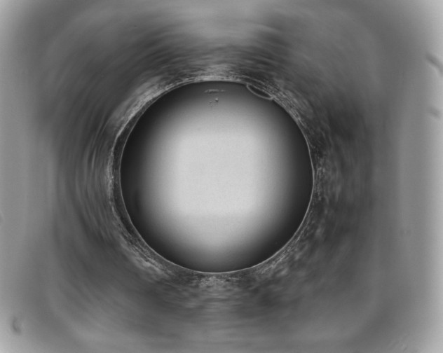 X0000095890290200801111201