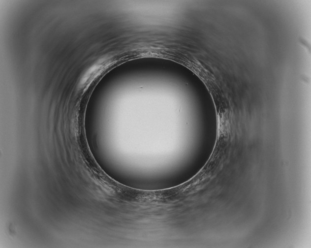 X0000095890291200801111201
