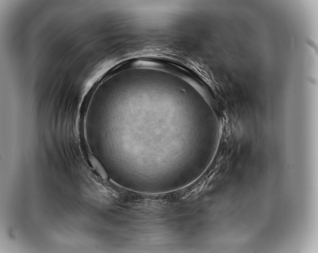 X0000095890292200801111201