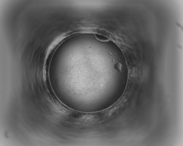 X0000095890294200801111201