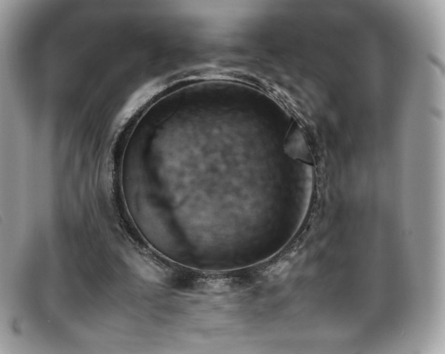 X0000095890295200801111201