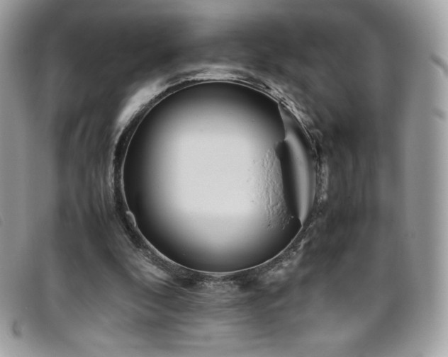X0000095890296200801111201