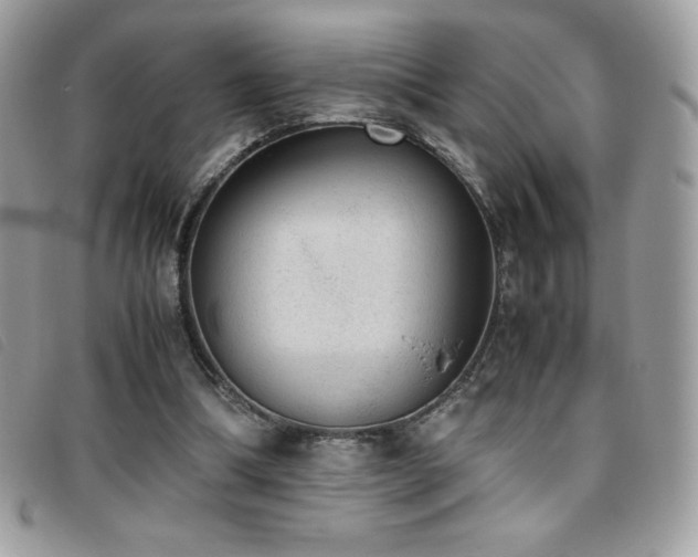 X0000095890298200801111201