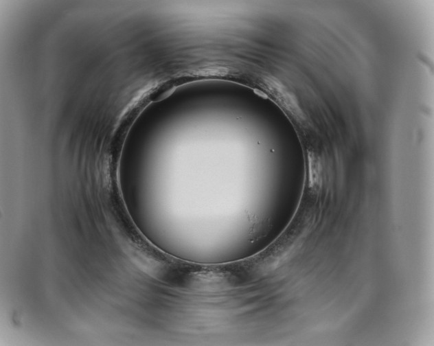 X0000095890300200801111201