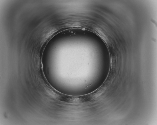 X0000095890301200801111201