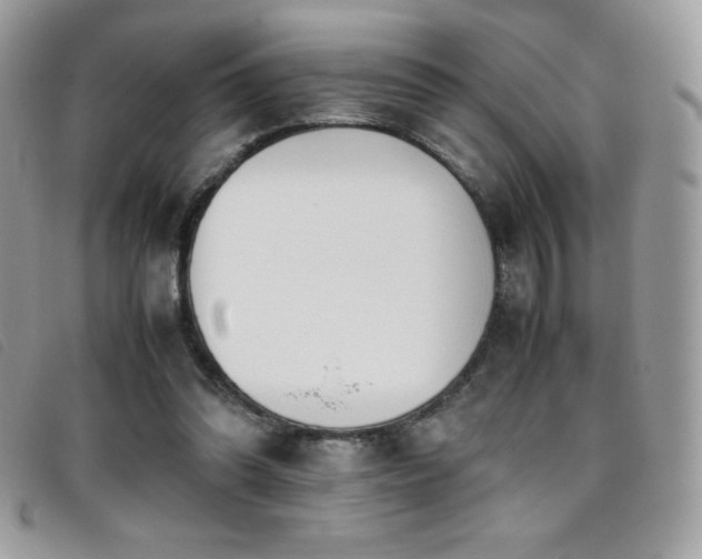X0000095890302200801111201