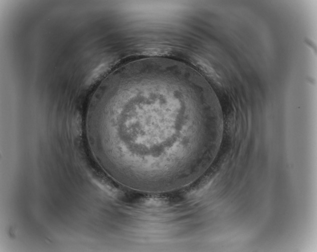 X0000095890303200801111201