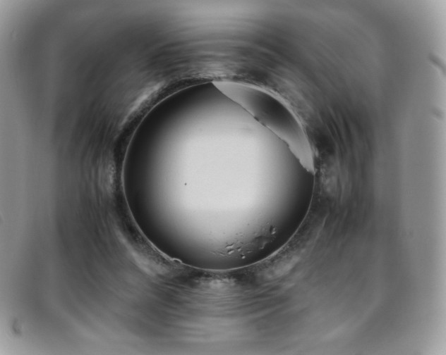 X0000095890304200801111201