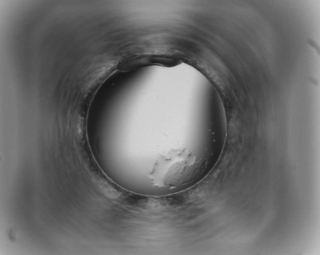 X0000095890305200801111201