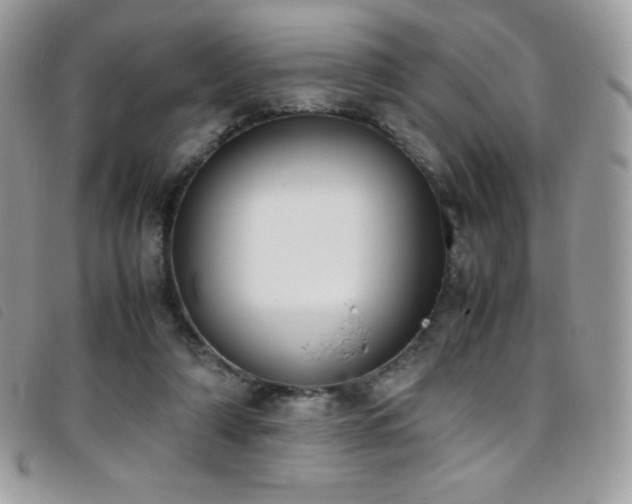 X0000095890306200801111201