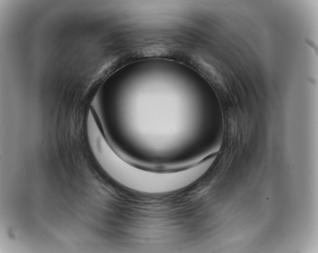 X0000095890308200801111201