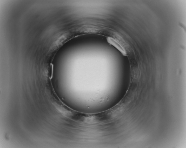 X0000095890309200801111201