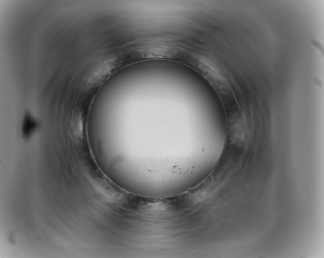 X0000095890310200801111201