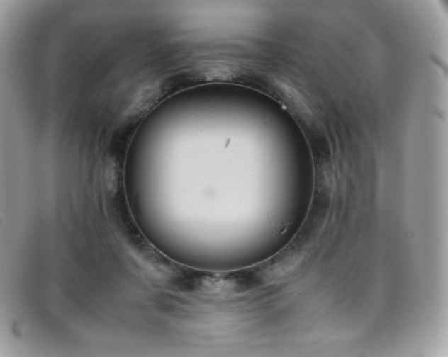 X0000095890311200801111201