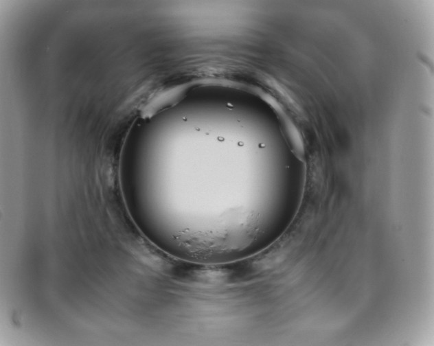 X0000095890313200801111201