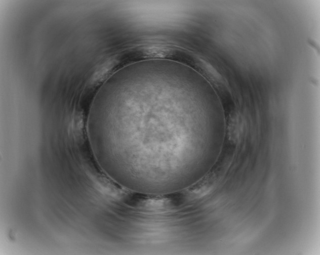 X0000095890314200801111201