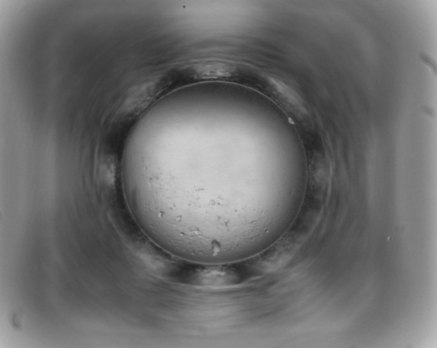 X0000095890315200801111201