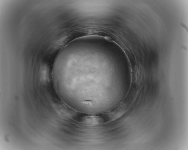 X0000095890316200801111201