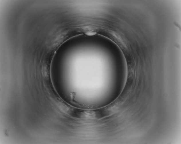 X0000095890317200801111201